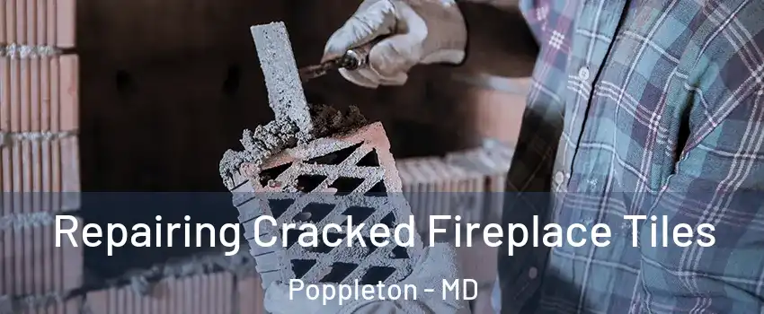 Repairing Cracked Fireplace Tiles Poppleton - MD