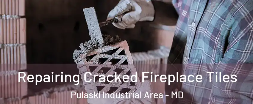 Repairing Cracked Fireplace Tiles Pulaski Industrial Area - MD