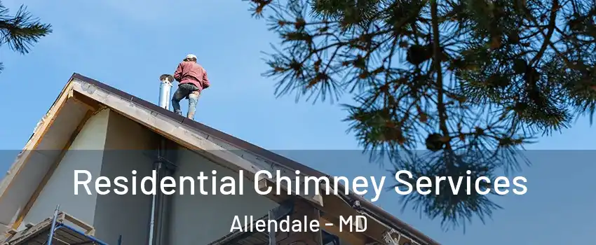 Residential Chimney Services Allendale - MD