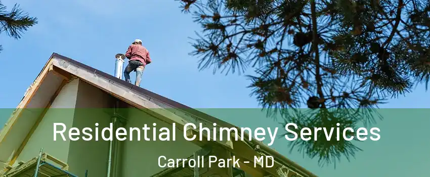 Residential Chimney Services Carroll Park - MD