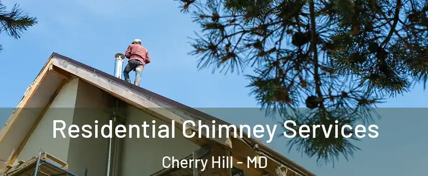 Residential Chimney Services Cherry Hill - MD