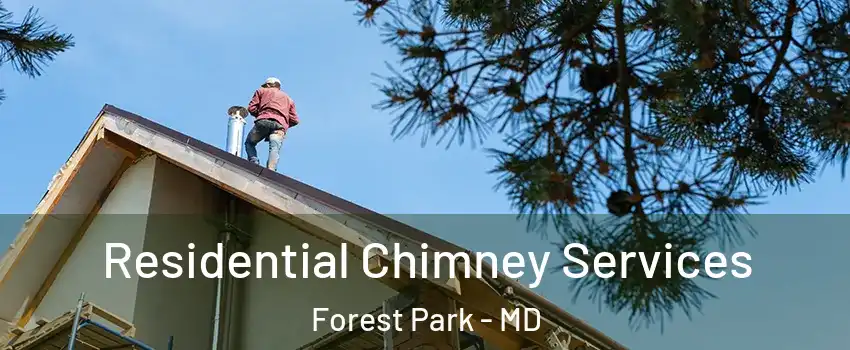 Residential Chimney Services Forest Park - MD