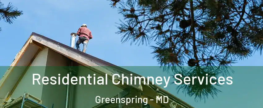 Residential Chimney Services Greenspring - MD
