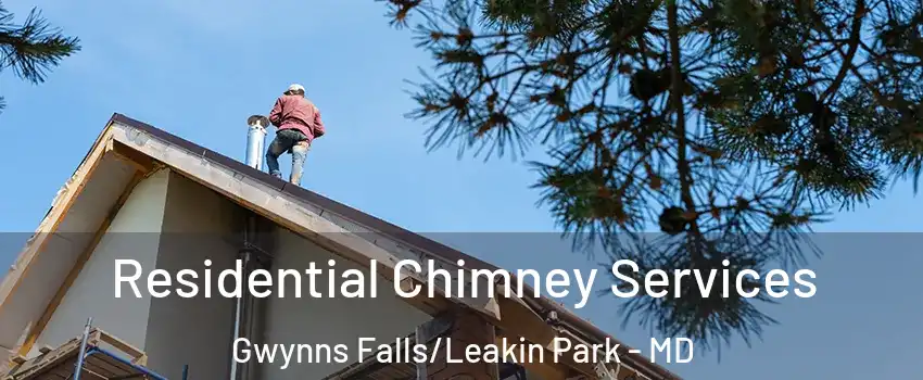 Residential Chimney Services Gwynns Falls/Leakin Park - MD
