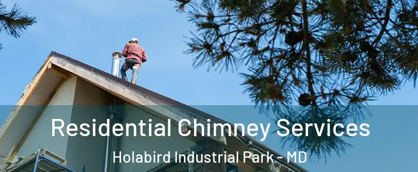 Residential Chimney Services Holabird Industrial Park - MD