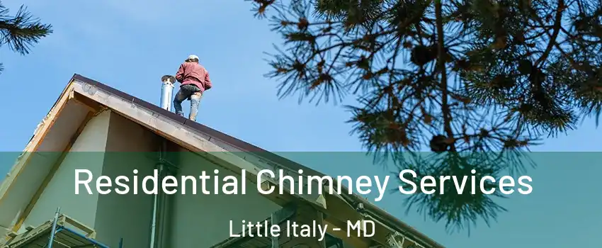 Residential Chimney Services Little Italy - MD