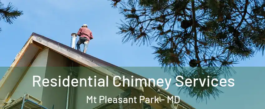 Residential Chimney Services Mt Pleasant Park - MD