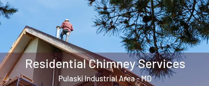 Residential Chimney Services Pulaski Industrial Area - MD