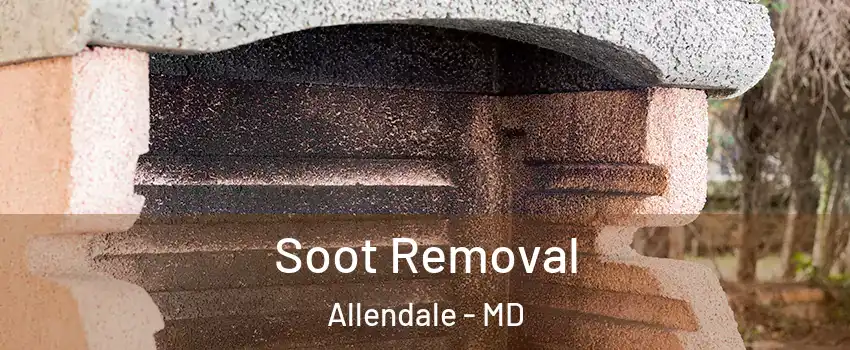 Soot Removal Allendale - MD