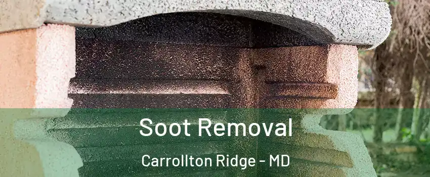 Soot Removal Carrollton Ridge - MD