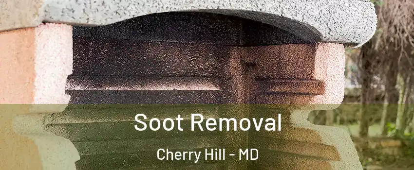 Soot Removal Cherry Hill - MD