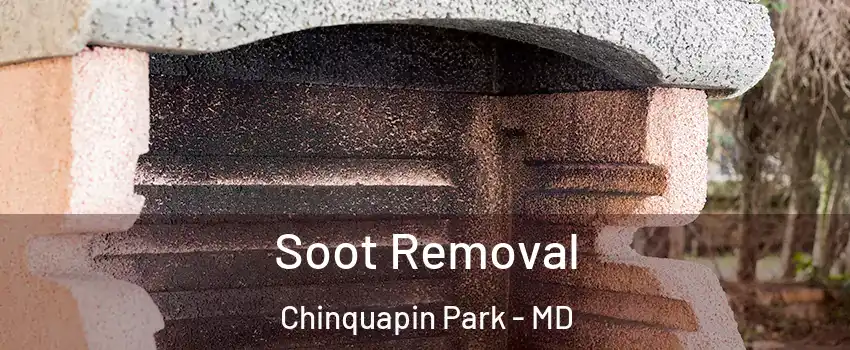 Soot Removal Chinquapin Park - MD