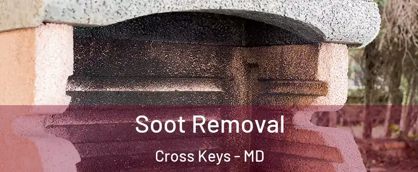 Soot Removal Cross Keys - MD