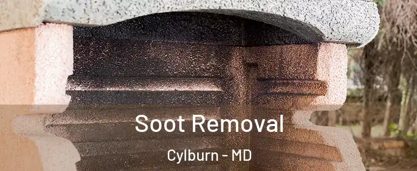 Soot Removal Cylburn - MD