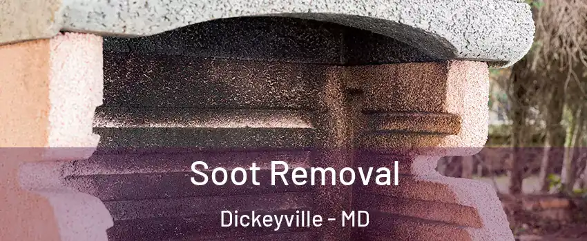 Soot Removal Dickeyville - MD