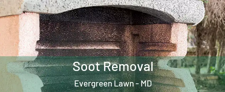 Soot Removal Evergreen Lawn - MD