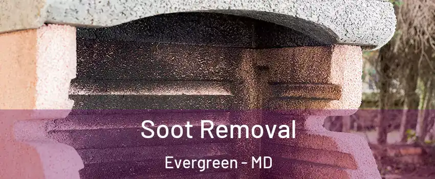Soot Removal Evergreen - MD