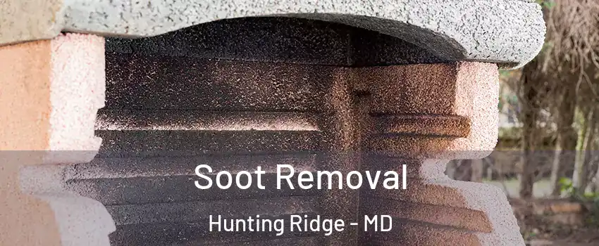 Soot Removal Hunting Ridge - MD