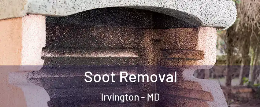 Soot Removal Irvington - MD
