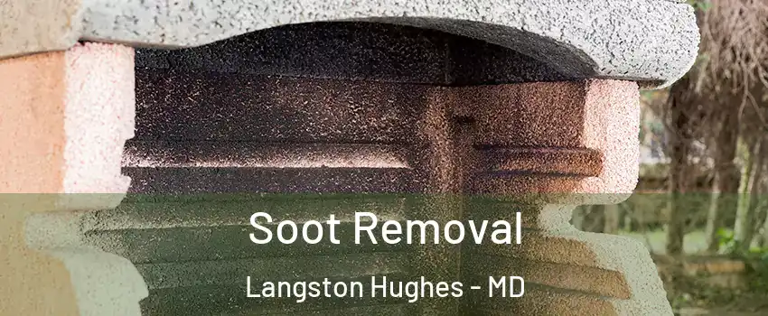 Soot Removal Langston Hughes - MD