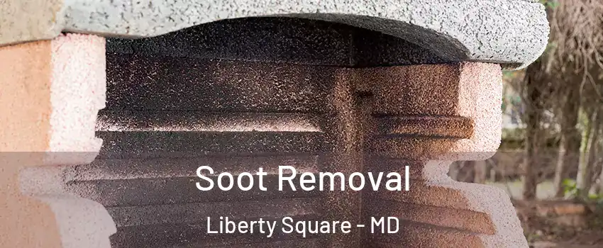 Soot Removal Liberty Square - MD