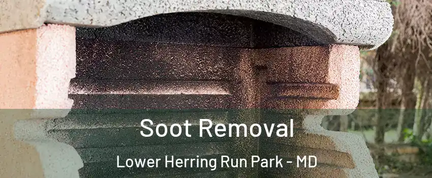 Soot Removal Lower Herring Run Park - MD