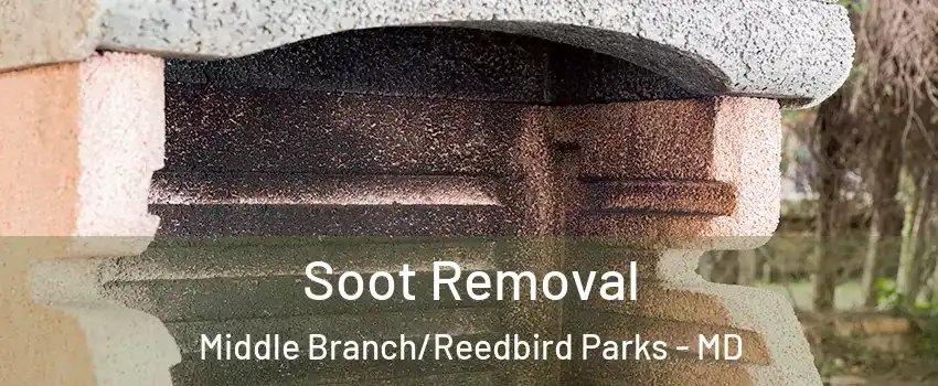 Soot Removal Middle Branch/Reedbird Parks - MD