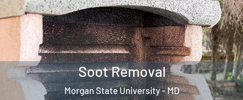 Soot Removal Morgan State University - MD