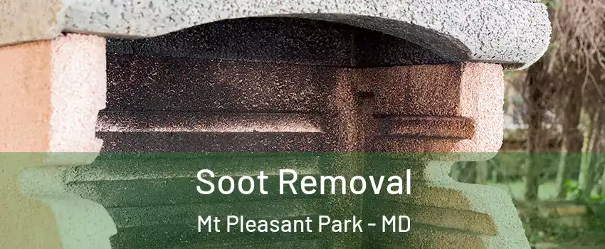 Soot Removal Mt Pleasant Park - MD