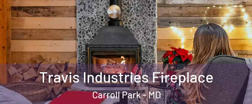 Travis Industries Fireplace Carroll Park - MD