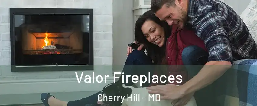 Valor Fireplaces Cherry Hill - MD