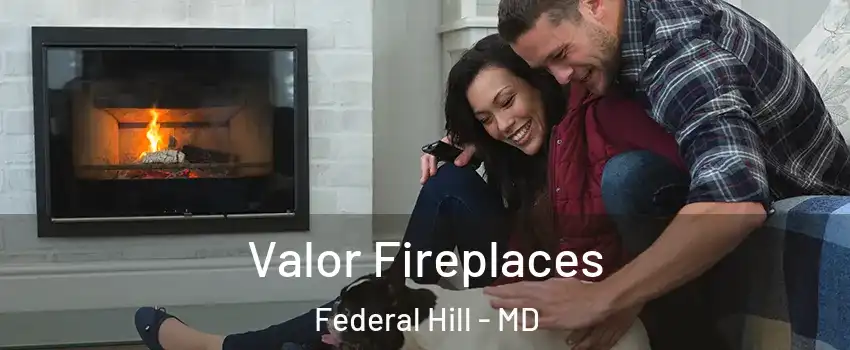 Valor Fireplaces Federal Hill - MD