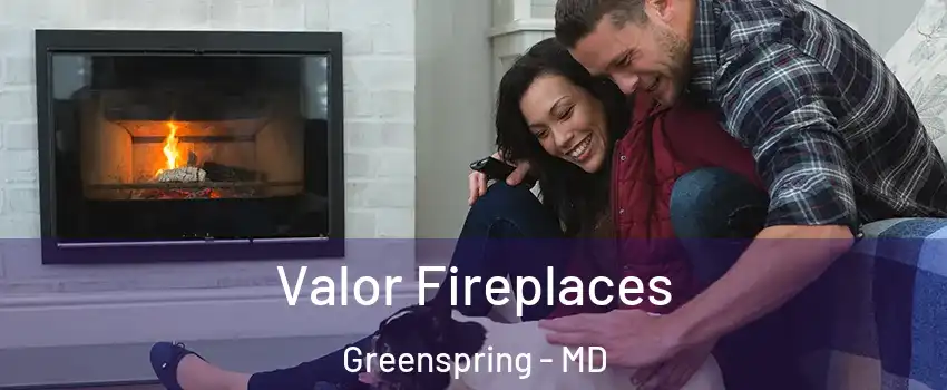 Valor Fireplaces Greenspring - MD