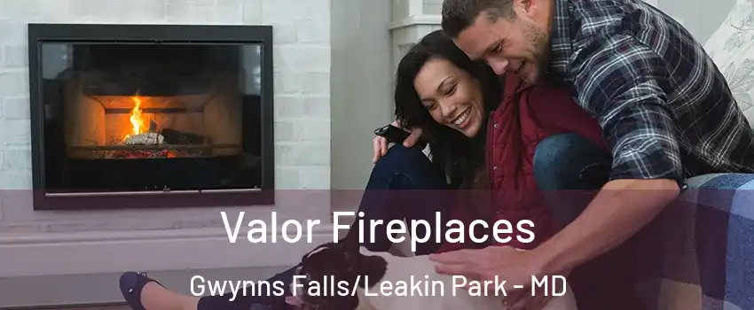 Valor Fireplaces Gwynns Falls/Leakin Park - MD