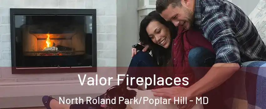 Valor Fireplaces North Roland Park/Poplar Hill - MD