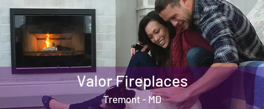 Valor Fireplaces Tremont - MD