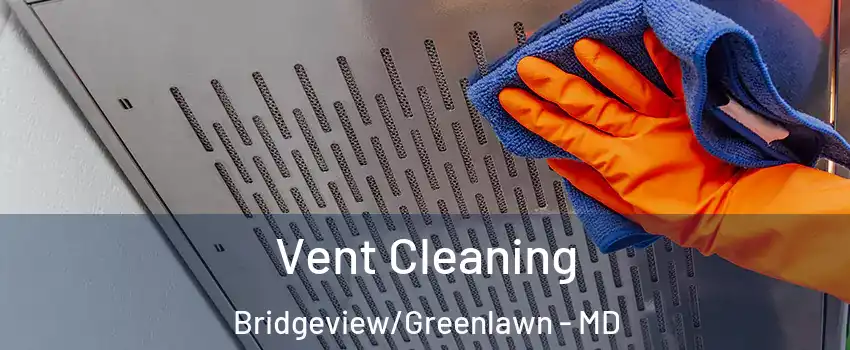 Vent Cleaning Bridgeview/Greenlawn - MD