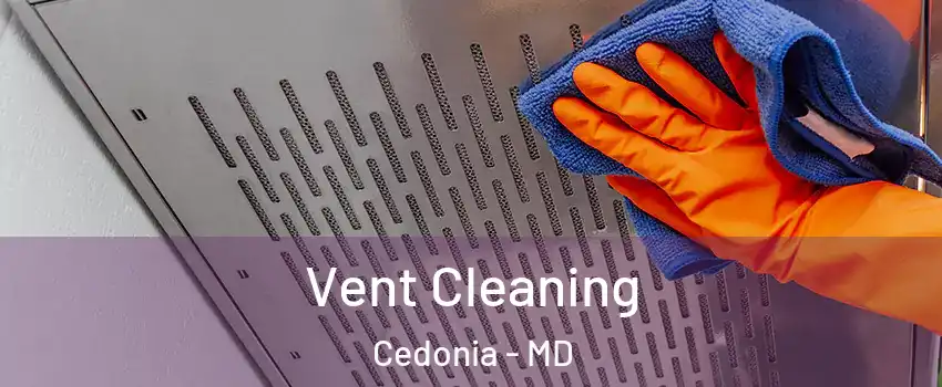 Vent Cleaning Cedonia - MD