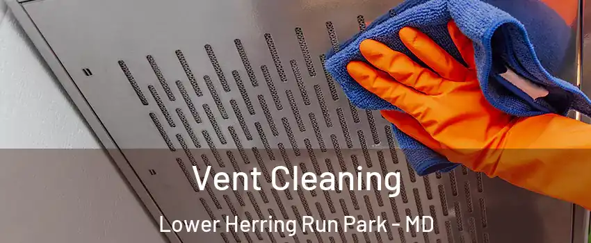 Vent Cleaning Lower Herring Run Park - MD