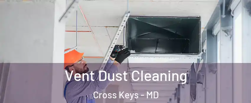 Vent Dust Cleaning Cross Keys - MD