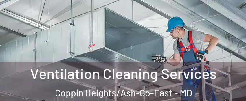 Ventilation Cleaning Services Coppin Heights/Ash-Co-East - MD