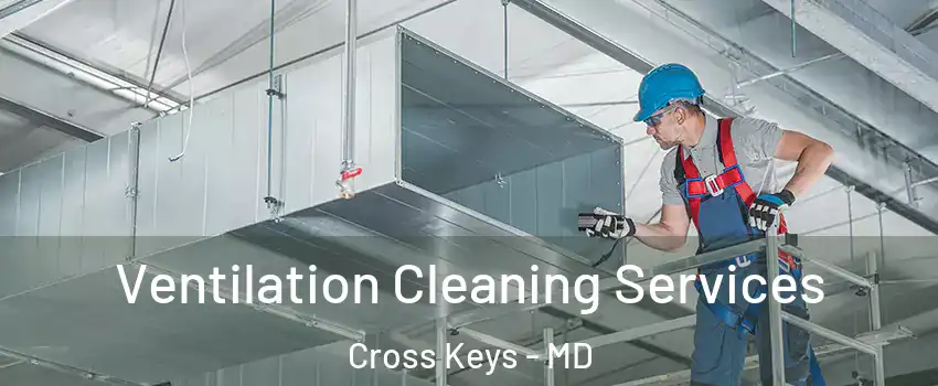 Ventilation Cleaning Services Cross Keys - MD