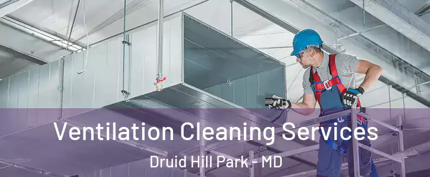 Ventilation Cleaning Services Druid Hill Park - MD