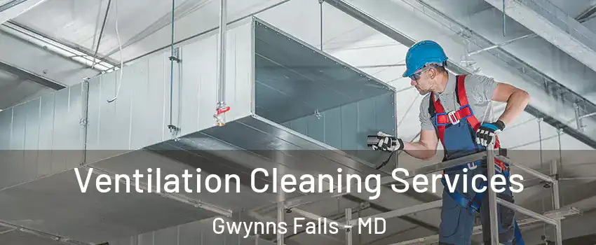 Ventilation Cleaning Services Gwynns Falls - MD