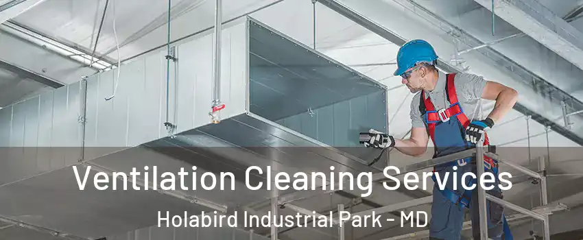 Ventilation Cleaning Services Holabird Industrial Park - MD