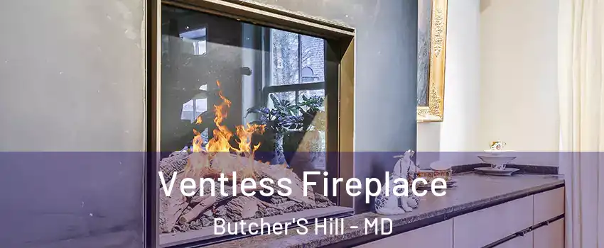 Ventless Fireplace Butcher'S Hill - MD