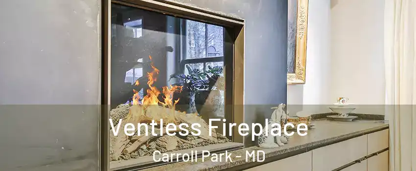 Ventless Fireplace Carroll Park - MD