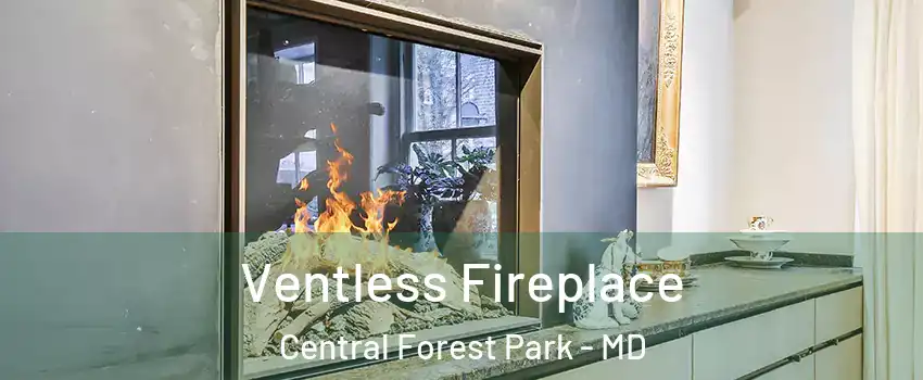 Ventless Fireplace Central Forest Park - MD