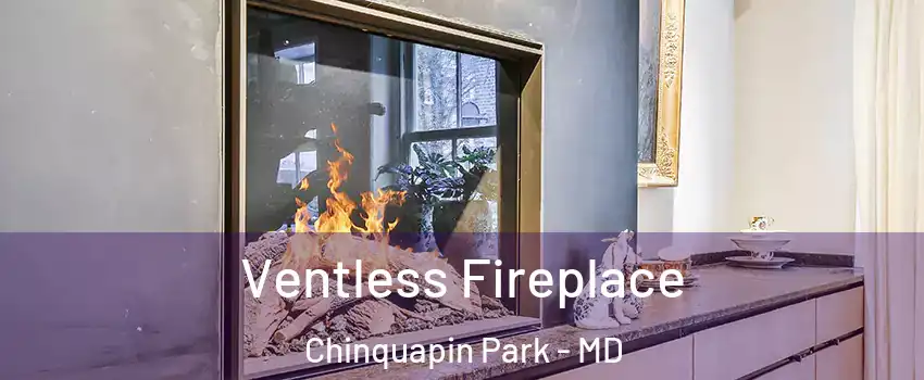 Ventless Fireplace Chinquapin Park - MD
