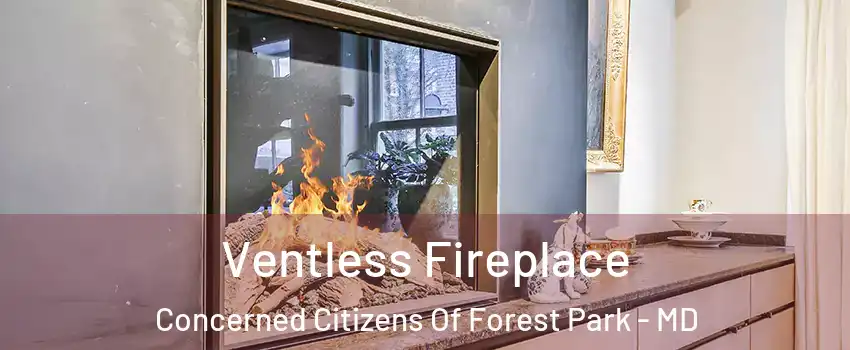 Ventless Fireplace Concerned Citizens Of Forest Park - MD